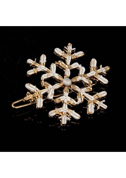 Saç Aksesuarı (Yurt Dışından) fiyatları