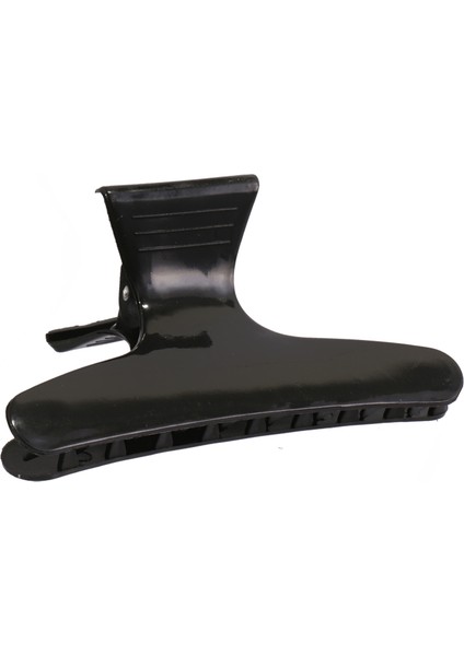 Saç Aksesuarı (Yurt Dışından) fiyatları