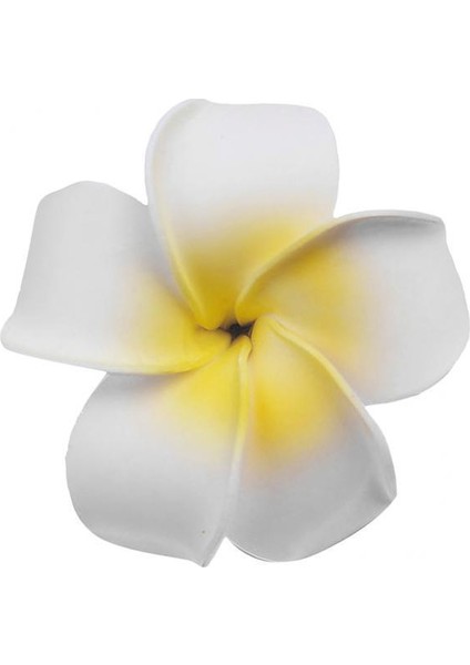 Saç Aksesuarı (Yurt Dışından)