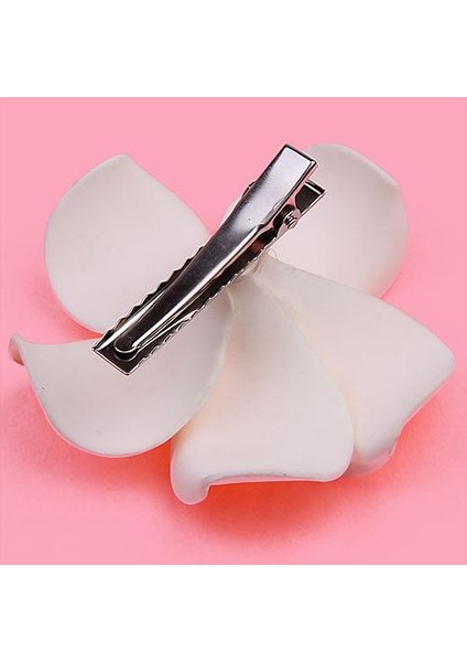 Saç Aksesuarı (Yurt Dışından) fiyatları