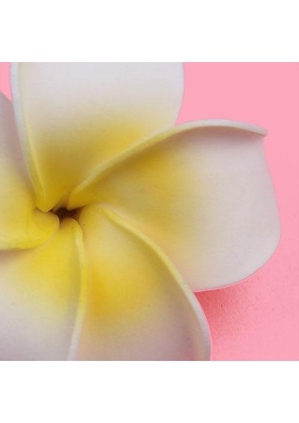 Saç Aksesuarı (Yurt Dışından) fırsatları