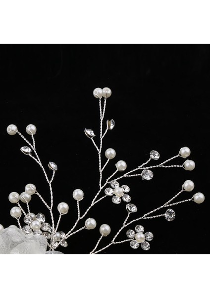 Saç Aksesuarı (Yurt Dışından) indirimleri