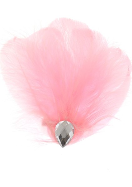 Saç Aksesuarı (Yurt Dışından)