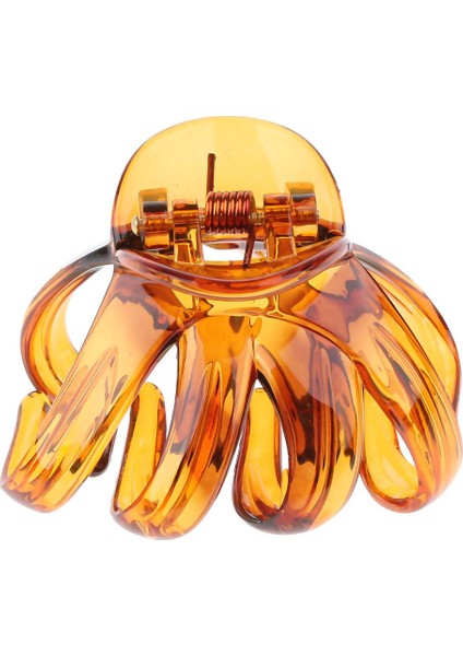 Saç Aksesuarı (Yurt Dışından) fiyatları