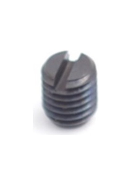 Yatak Kenarı CT300UB5 Ip Yolu Ayar Vidası / CT414529
