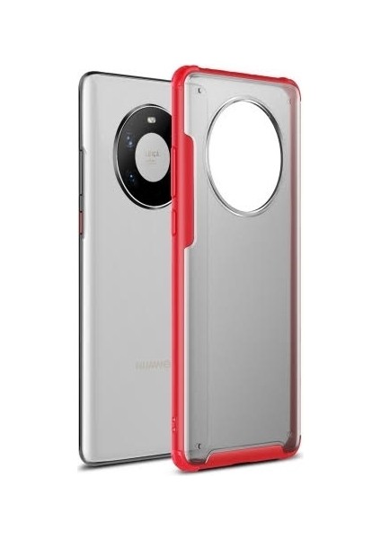 Huawei Mate 40 Pro Kılıf Renkli Silikon Kenarlı Buzlu Sert Volks Kapak