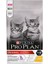 Proplan Kitten Tavuklu Yavru Kedi Maması 10KG 1