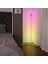 LED Zemin Lambası Ayakta Lambalar Modern Basit 5050 30 LED Ayakta Işıklar Modern Tarzı Demir Boyalı Zemin Lambası (Beyaz-Ab) 1