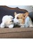 Sevimli Hayvan Şekli Kalp Atışı Köpek Davranışsal Eğitim Oyuncak Peluş Pet Anksiyete Rölyef Uyku Yardım Bebek Dayanıklı Köpek Çiğnemek Oyuncaklar | Köpek Oyuncakları 2