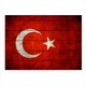 Seçili Renk Renkli