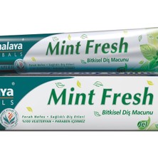Himalaya Diş Macunu Nane Tazeliği 75 Ml