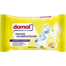 Rossmann Domol Fırın Izgara Temizleyici + Islak Temizlik Bezi Limon Kokulu 50'li