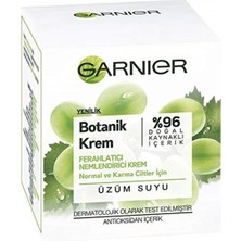 Garnier Skin Naturals Botanik Ferahlatıcı Antioksidan Krem 1 Paket (1 x 50 Ml)