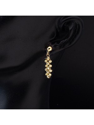 Bilezikci Top Altınlarla İşlenmiş 14 Ayar Sallantı Küpe