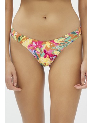 Penti Çok Renkli Flory V Bikini Altı