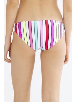 Penti Çok Renkli Retro Slip Bikini Altı