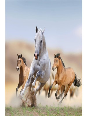 Viyana Home Dijital Baskılı Kaymaz Taban Yıkanabilir Modern At Baskılı Çocuk Odası Halısı VHÇ-HP-671