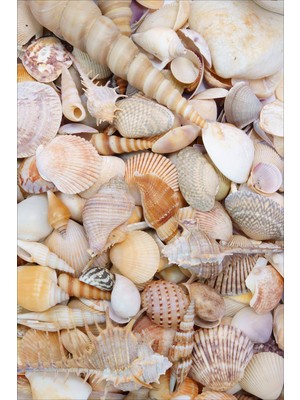 Viyana Home Dijital Baskılı Kaymaz Taban Yıkanabilir Modern 3 Boyutlu Çocuk Odası Halısı VHÇ-HP-660