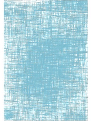 Viyana Home Dijital Baskılı Kaymaz Taban Yıkanabilir Sade Model Salon Halısı Mutfak Halısı Yolluk VH-HS-183