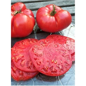 EKS Ticaret Erdem Garden Doğal Iri Meşhur Nergele Domatesi Tohumu 100 Ad. Tohum