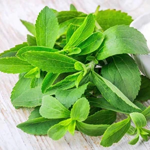 EKS Ticaret Şifalı Şeker Otu(Stevia) Tohumu (40 Tohum)