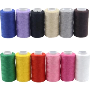 12ADETSET Dikiş Iplikleri Kiti Nakış Makinesi Için 12 Renk Polyester (Yurt Dışından)