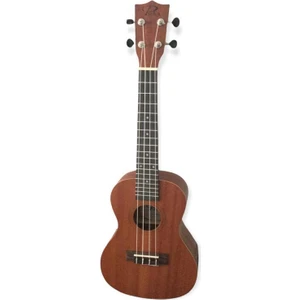Ukulele - Puka - Concert