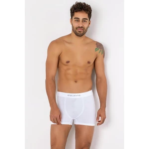 Boxer Seamless Erkek