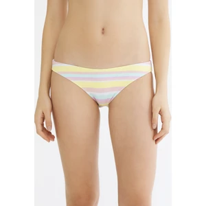 Çok Renkli Willie Slip Bikini Altı