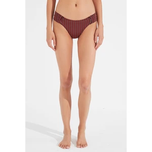 Çok Renkli Ines Hipkini Bikini Altı