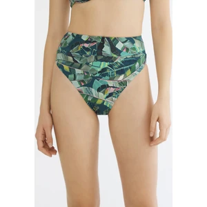 Çok Renkli Aloe High Vintage Bikini Altı