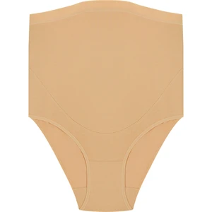 Ten Rengi Pamuklu Mama Hamile Slip Külot