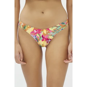 Çok Renkli Flory V Bikini Altı