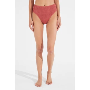 Pembe Ruby High Vintage Bikini Altı