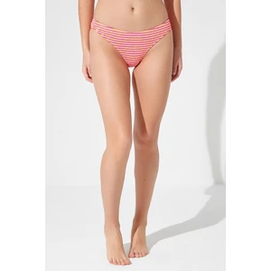 Çok Renkli Dolly Slip Bikini Altı