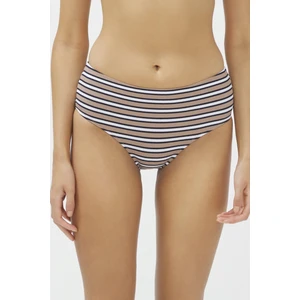 Çok Renkli Tiffany High Hipster Bikini Altı