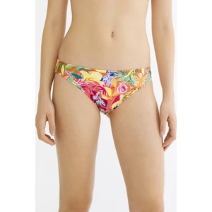Çok Renkli Flory Slip Bikini Altı