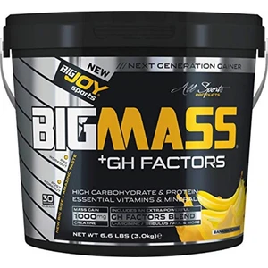 Bigmass Gh Factor Karbonhidrat Tozu - Muz Aromalı 1 Paket(1 X 3000 G)