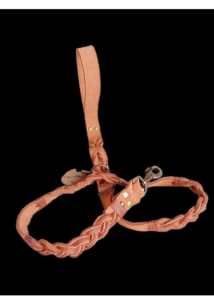 Köpek gezdirme kayışı boyun tasması hakiki süet deri antik kalın kancalı taba rengi kalınlık:4mm genişlik:2,5cm uzunluk:120cm dog leash B1-7