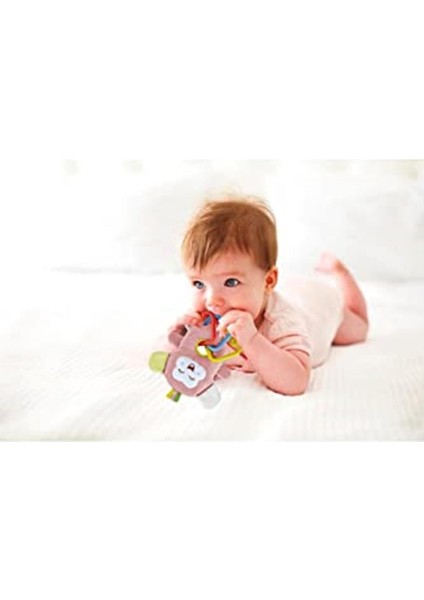 Babyjem 8681049216939 Küçük Oyuncakli Maymun Gül Kurusu, Çok Renkli fiyatları