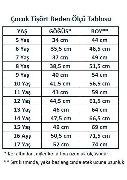 Gri Kısa Kol Düz Yakalı 6-16 Yaş Çocuk Okul Lakos Tişört T-Shirt - 80238-GRI fırsatları