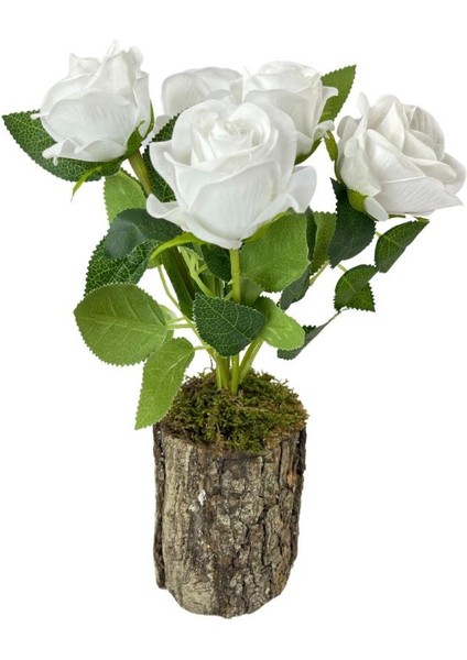Doğal Ağaç Kütük Üzerine Aranje Edilmiş 5 Adet Yapay Beyaz Kadife Gül