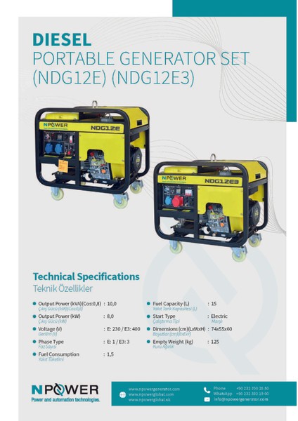 Portatif Dizel Jeneratör NDG12E fiyatları