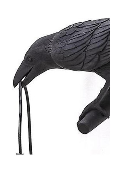 Seletti Kuş Duvar Lambası Italyan Modern Reçine Beyaz Siyah Işık Yatak Odası Bedsideving Oda Dekorasyon Için LED Işık Fikstür (Duvar Siyah Sağ) (Yurt Dışından) fırsatları