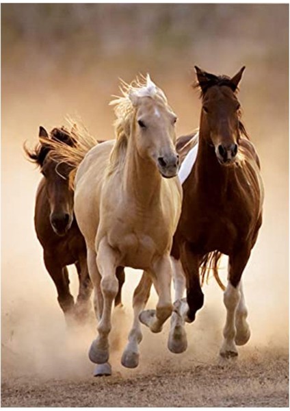 - Running Horses 1000 Parça Puzzle (39168)