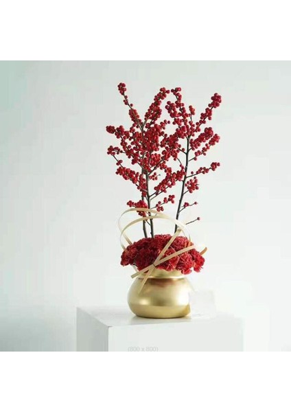 Yaratıcı Etli Bitki Pot Bonsai Blessing Bag Masaüstü Yeşil Ekleyici Vazo Altın modelleri