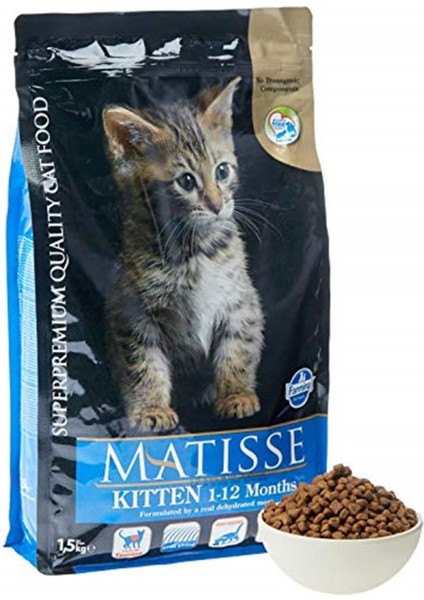 Kitten 1.5 kg