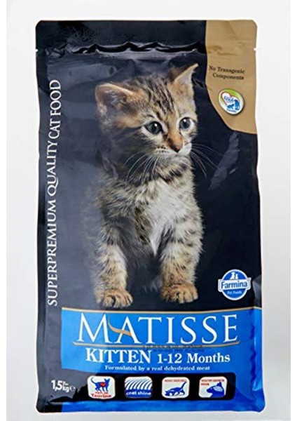 Kitten 1.5 kg fiyatları