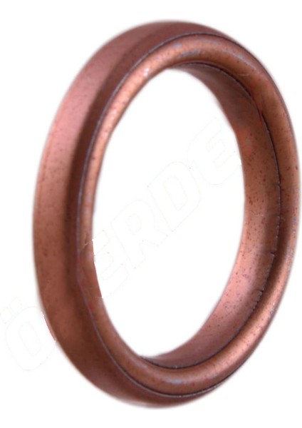 Egsoz Contası Scooter