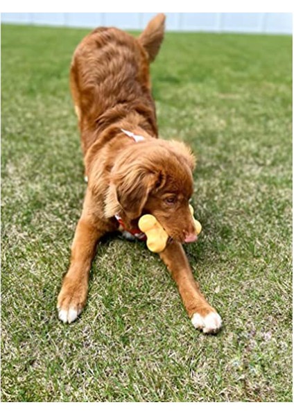 Peynir Aromalı Köpek Çiğneme Kemiği L